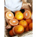 Oli&Carol Fruits & Veggies - Clementino the Orange